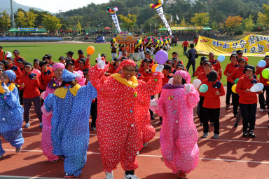 2015 제31회 용화축전 개회식 의 사진