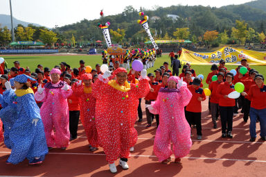 2015 제31회 용화축전 개회식 의 사진