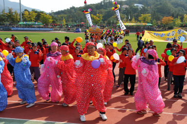 2015 제31회 용화축전 개회식 의 사진