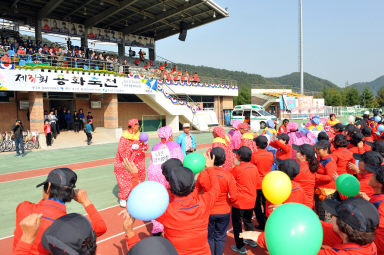 2015 제31회 용화축전 개회식 의 사진