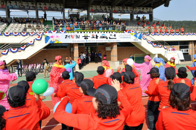 2015 제31회 용화축전 개회식 의 사진