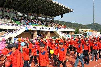 2015 제31회 용화축전 개회식 의 사진