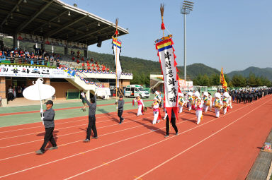 2015 제31회 용화축전 개회식 의 사진