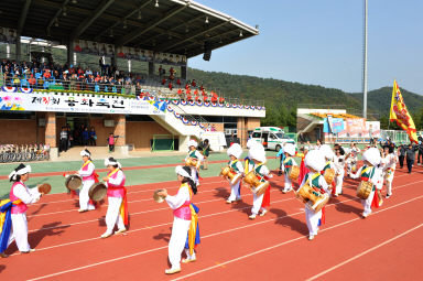 2015 제31회 용화축전 개회식 의 사진