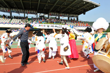 2015 제31회 용화축전 개회식 의 사진