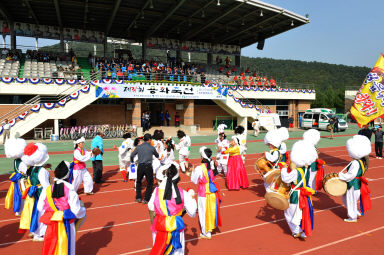 2015 제31회 용화축전 개회식 의 사진