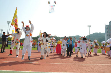 2015 제31회 용화축전 개회식 의 사진