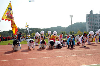 2015 제31회 용화축전 개회식 의 사진