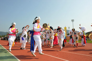 2015 제31회 용화축전 개회식 의 사진