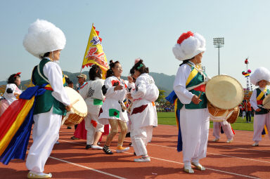 2015 제31회 용화축전 개회식 의 사진