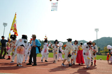 2015 제31회 용화축전 개회식 의 사진