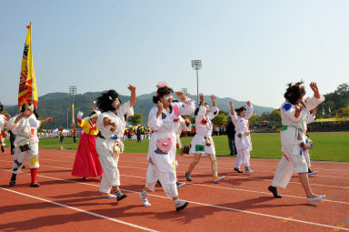 2015 제31회 용화축전 개회식 의 사진