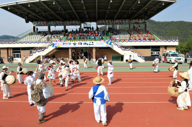 2015 제31회 용화축전 개회식 의 사진