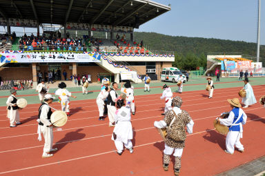 2015 제31회 용화축전 개회식 의 사진