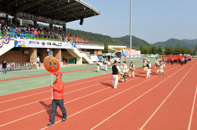 2015 제31회 용화축전 개회식 의 사진