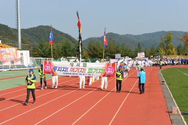 2015 제31회 용화축전 개회식 의 사진