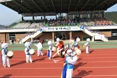 2015 제31회 용화축전 개회식 의 사진