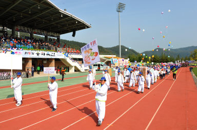 2015 제31회 용화축전 개회식 의 사진