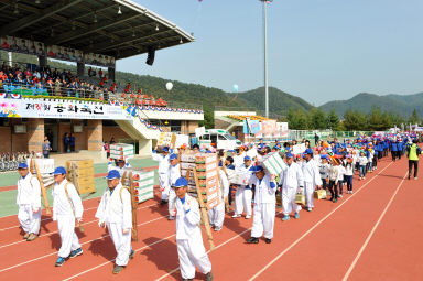 2015 제31회 용화축전 개회식 의 사진