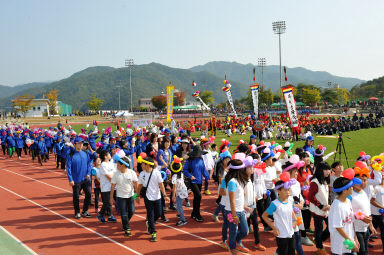 2015 제31회 용화축전 개회식 의 사진