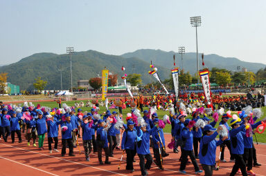 2015 제31회 용화축전 개회식 의 사진