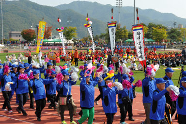 2015 제31회 용화축전 개회식 의 사진