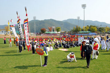 2015 제31회 용화축전 개회식 의 사진