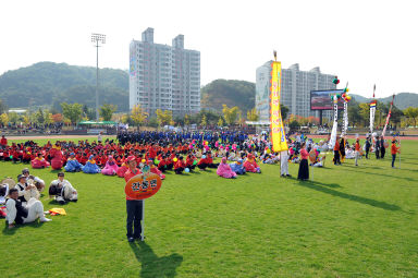 2015 제31회 용화축전 개회식 의 사진