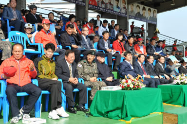 2015 제31회 용화축전 개회식 의 사진