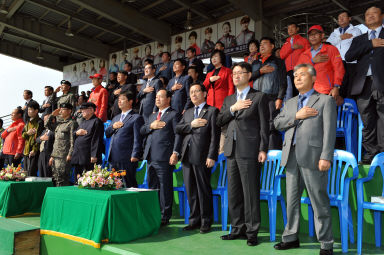 2015 제31회 용화축전 개회식 의 사진