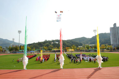 2015 제31회 용화축전 개회식 의 사진