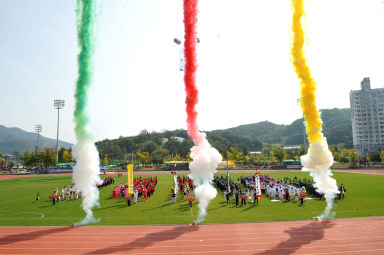 2015 제31회 용화축전 개회식 의 사진