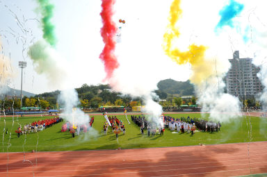 2015 제31회 용화축전 개회식 의 사진