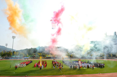 2015 제31회 용화축전 개회식 의 사진