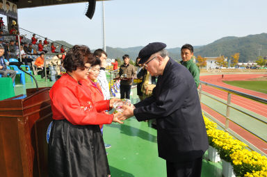 2015 제31회 용화축전 개회식 의 사진