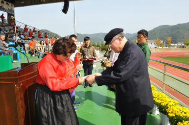 2015 제31회 용화축전 개회식 의 사진