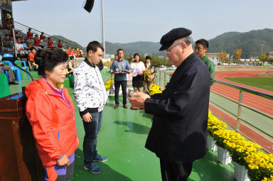 2015 제31회 용화축전 개회식 의 사진