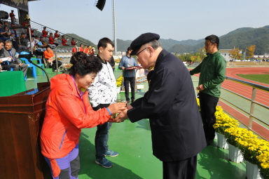 2015 제31회 용화축전 개회식 의 사진