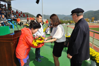 2015 제31회 용화축전 개회식 의 사진