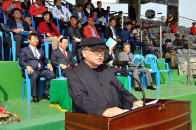 2015 제31회 용화축전 개회식 의 사진