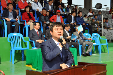 2015 제31회 용화축전 개회식 의 사진