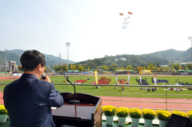 2015 제31회 용화축전 개회식 의 사진