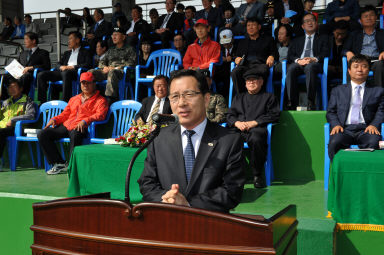 2015 제31회 용화축전 개회식 의 사진