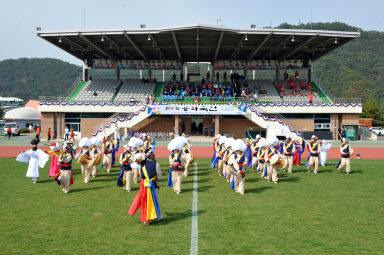 2015 제31회 용화축전 개회식 의 사진