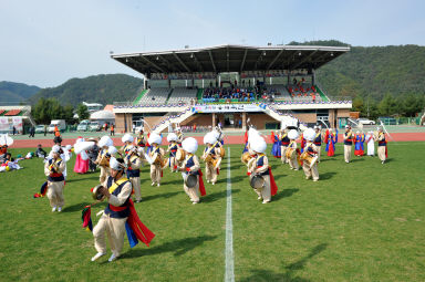 2015 제31회 용화축전 개회식 의 사진