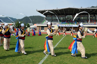 2015 제31회 용화축전 개회식 의 사진