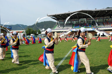 2015 제31회 용화축전 개회식 의 사진