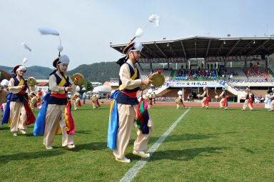 2015 제31회 용화축전 개회식 의 사진