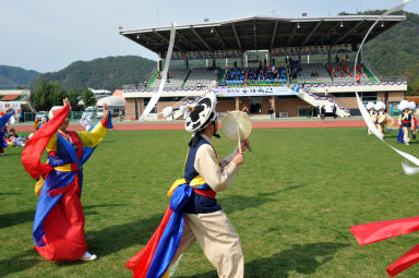 2015 제31회 용화축전 개회식 의 사진