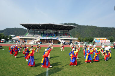 2015 제31회 용화축전 개회식 의 사진